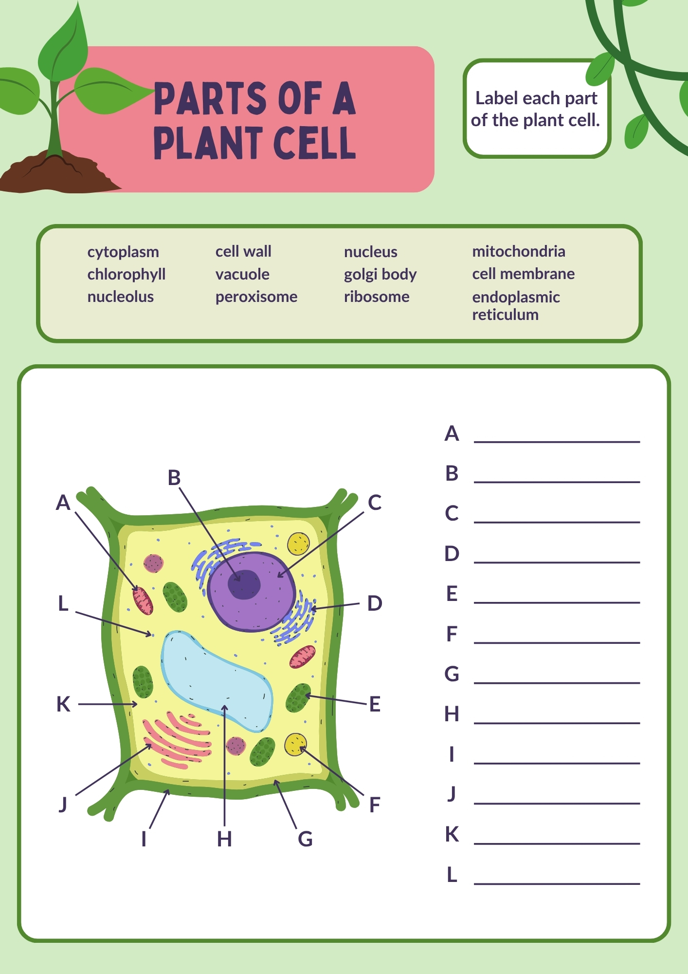Parts of  plant cell Worksheet Worksheet